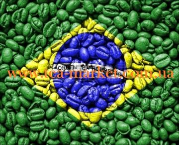 Главные сорта бразильского кофе